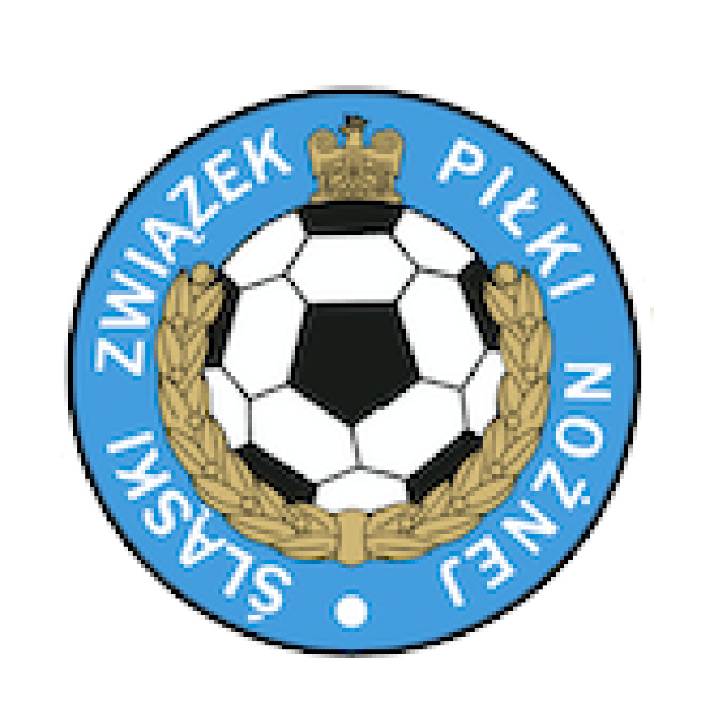 Ślaski Związek Piłki Nożnej